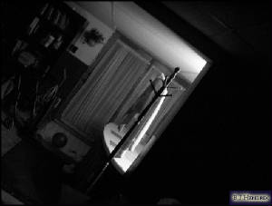 lightsinbw4.jpg
