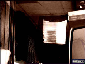 windows3.jpg
